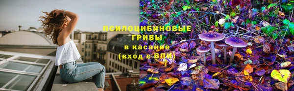 ALPHA-PVP Гусев