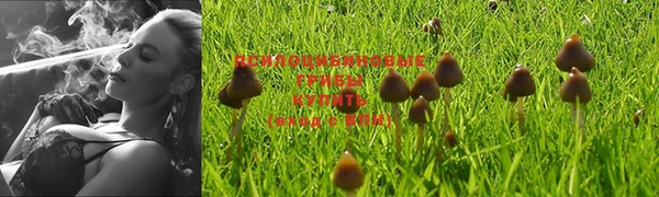а пвп мука Горно-Алтайск