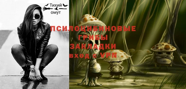 соль ск Горняк